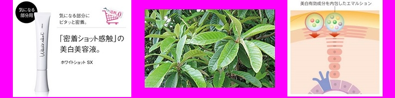 pola�̃z���C�g�V���b�gsx�̌��ʂŃV�~���P���T�C�g